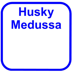 Husky Medussa
