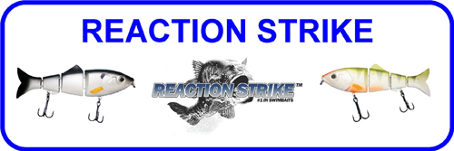 Reaction Strike