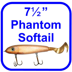 7 Phantom Softail