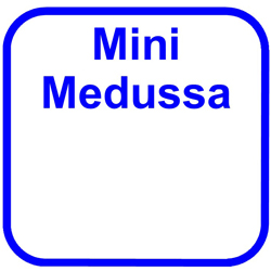 Mini Medussa