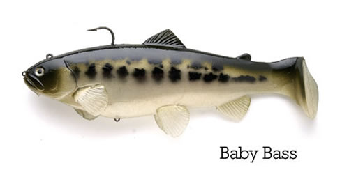 4" Boot Tail (Swim Bait Trout) - Baby Bass