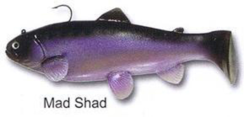 4" Boot Tail (Swim Bait Trout) - Mad Shad