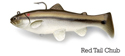 4" Boot Tail (Swim Bait Trout) - Red Tail Chub