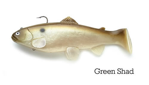 8" Boot Tail (Swim Bait Trout) - Green Shad