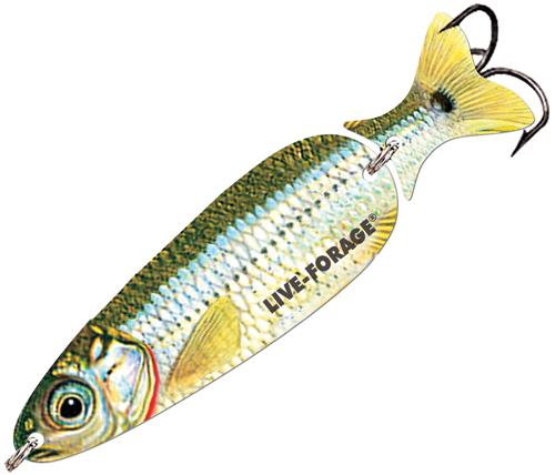 Live Forage Casting Spoon - Silver Shiner