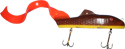 11" Curly Sue - Orange Tail Carp